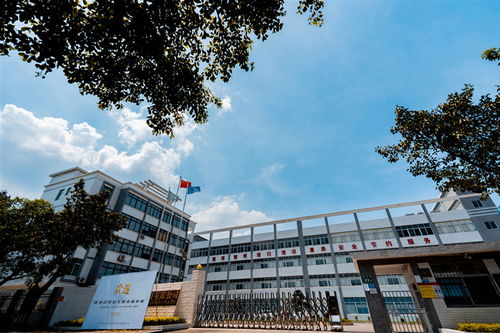 攜手法詩尼，共創(chuàng)卸妝新風尚 揭秘三色彩虹卸妝油代加工的專業(yè)優(yōu)勢